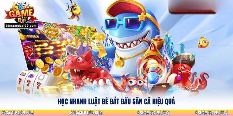 Học nhanh luật để bắt đầu săn cá hiệu quả